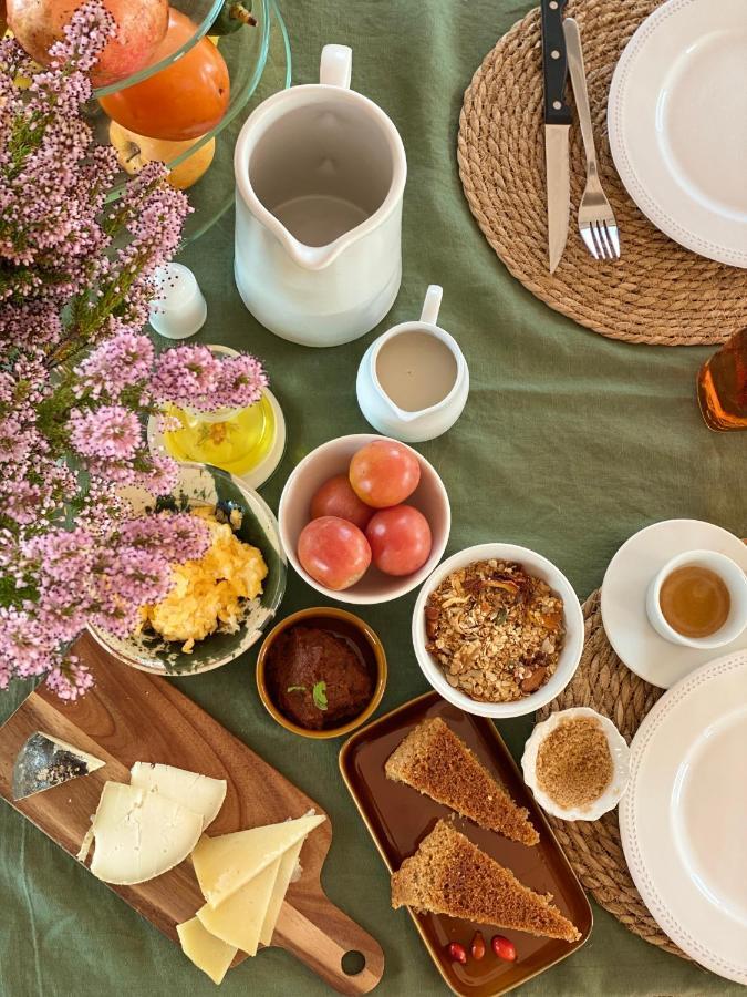 Hotel Rural Mas De L'Illa Tivissa Eksteriør billede