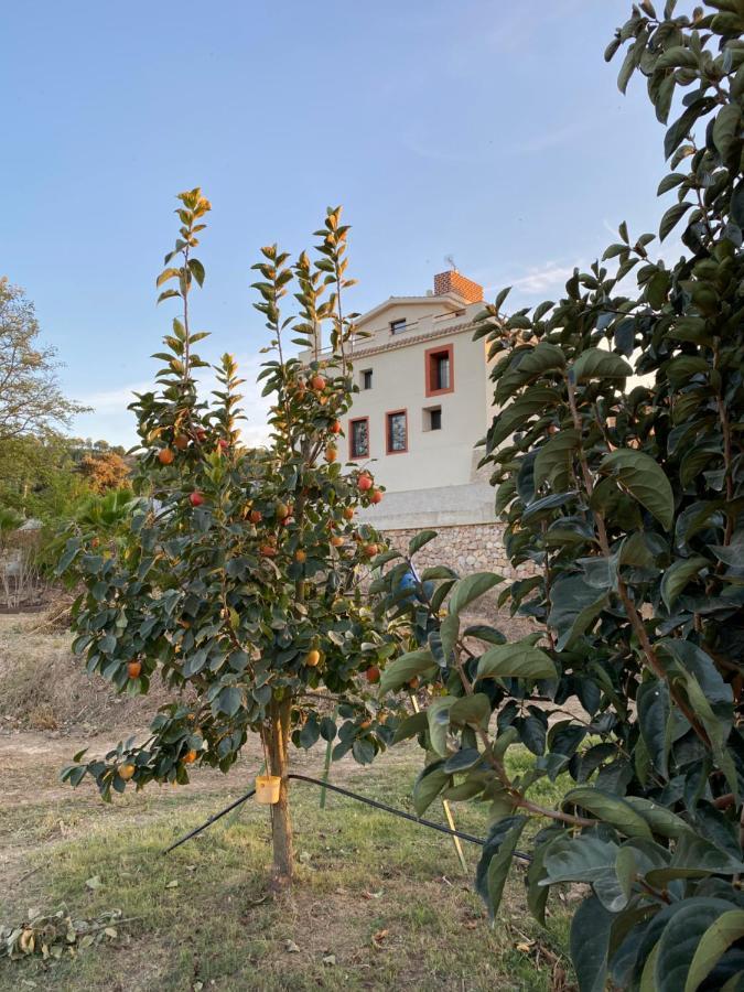 Hotel Rural Mas De L'Illa Tivissa Eksteriør billede