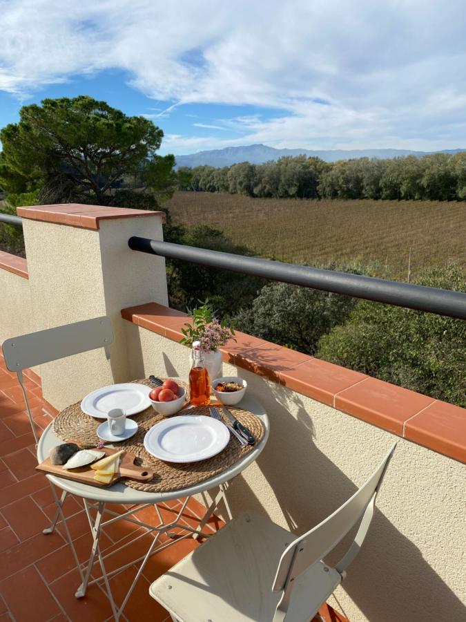 Hotel Rural Mas De L'Illa Tivissa Eksteriør billede